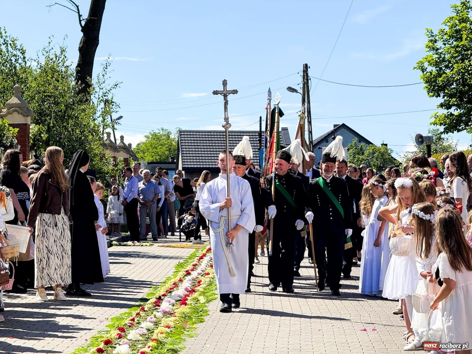 Zdjęcie w galerii na portalu naszraciborz.pl: Tłumy na procesji Bożego Ciała w Brzeziu. Na drodze Najświętszego Sakramentu prawdziwe dzieła sztuki wiadomości z regionu