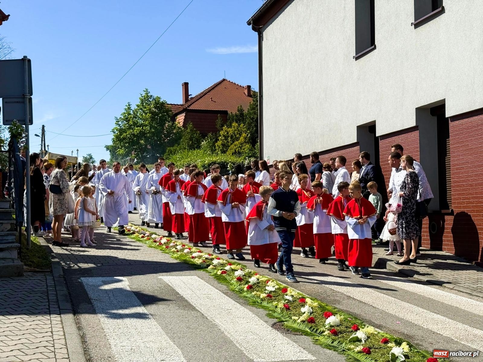 Zdjęcie w galerii na portalu naszraciborz.pl: Tłumy na procesji Bożego Ciała w Brzeziu. Na drodze Najświętszego Sakramentu prawdziwe dzieła sztuki wiadomości z regionu