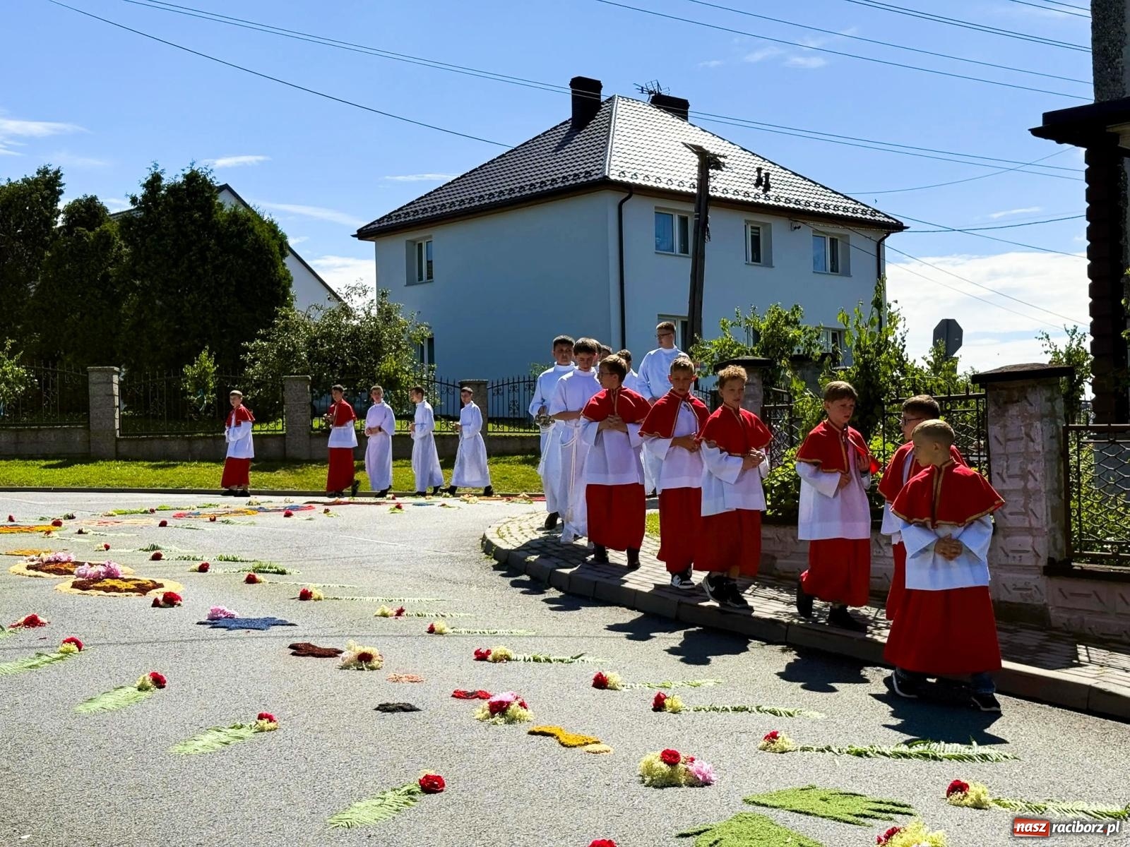 Zdjęcie w galerii na portalu naszraciborz.pl: Tłumy na procesji Bożego Ciała w Brzeziu. Na drodze Najświętszego Sakramentu prawdziwe dzieła sztuki wiadomości z regionu