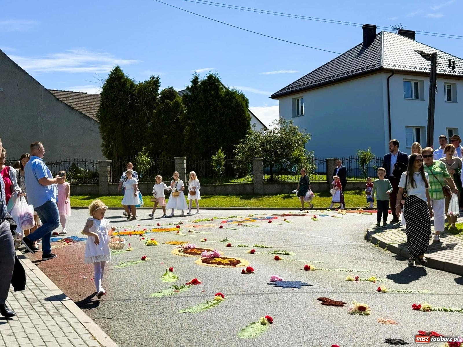Zdjęcie w galerii na portalu naszraciborz.pl: Tłumy na procesji Bożego Ciała w Brzeziu. Na drodze Najświętszego Sakramentu prawdziwe dzieła sztuki wiadomości z regionu