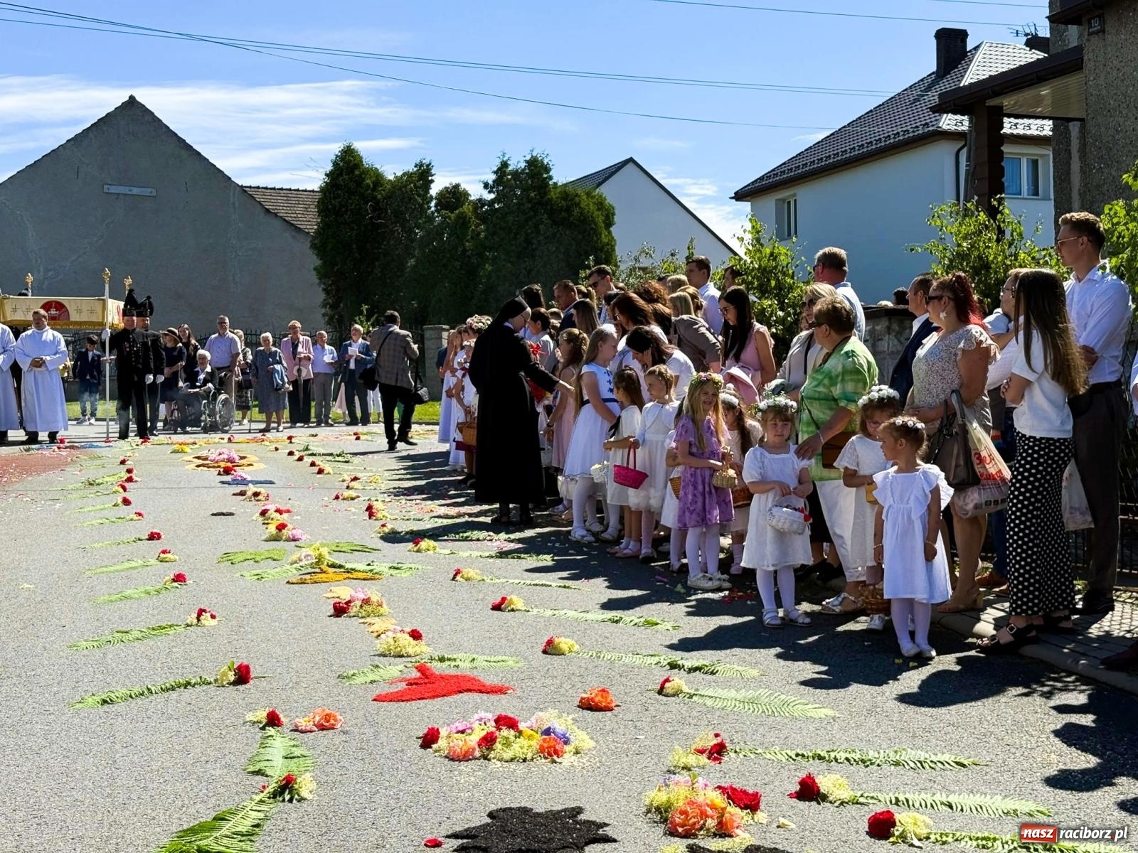 Zdjęcie w galerii na portalu naszraciborz.pl: Tłumy na procesji Bożego Ciała w Brzeziu. Na drodze Najświętszego Sakramentu prawdziwe dzieła sztuki wiadomości z regionu