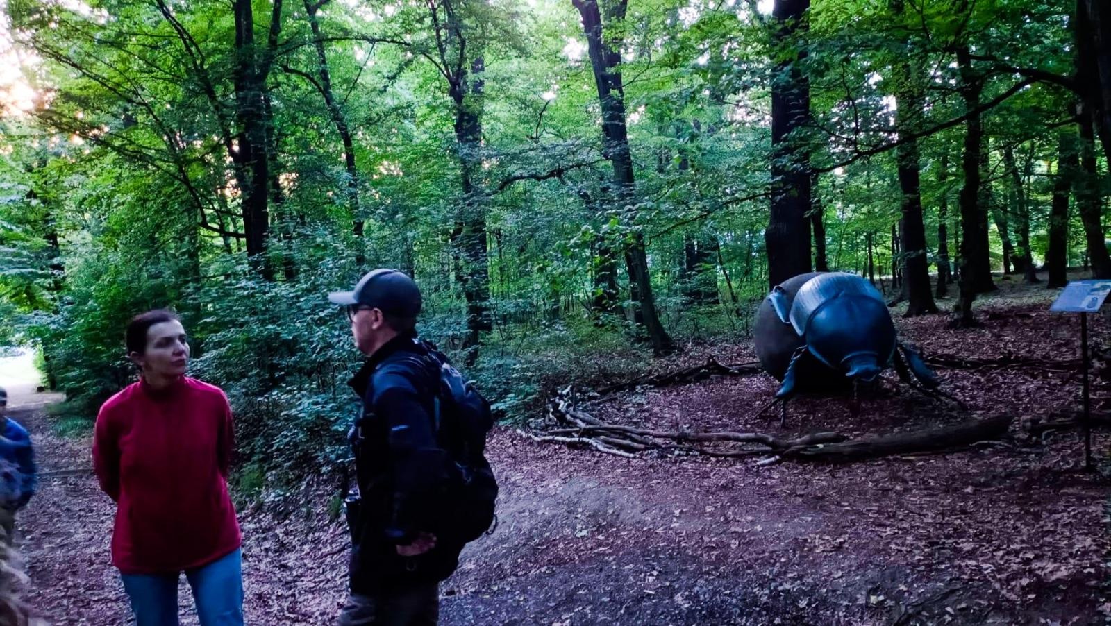 Zdjęcie w galerii na portalu naszraciborz.pl: Nocne wyprawy i przyrodniczy maraton obserwacji. Mieszkańcy odkrywali bogactwo Arboretum Bramy Morawskiej wiadomości z regionu