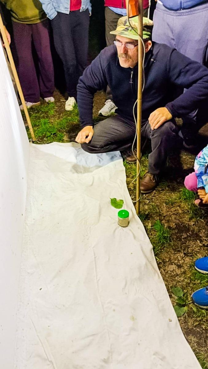 Zdjęcie w galerii na portalu naszraciborz.pl: Nocne wyprawy i przyrodniczy maraton obserwacji. Mieszkańcy odkrywali bogactwo Arboretum Bramy Morawskiej wiadomości z regionu
