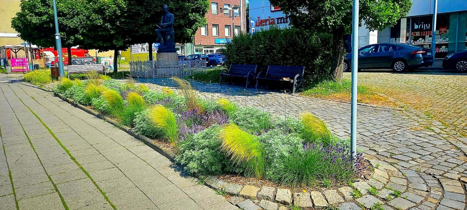 Zdjęcie w galerii na portalu naszraciborz.pl: Zielona rewolucja w Raciborzu. Miasto stawia na byliny, trawy i nowe rabaty wiadomości z regionu