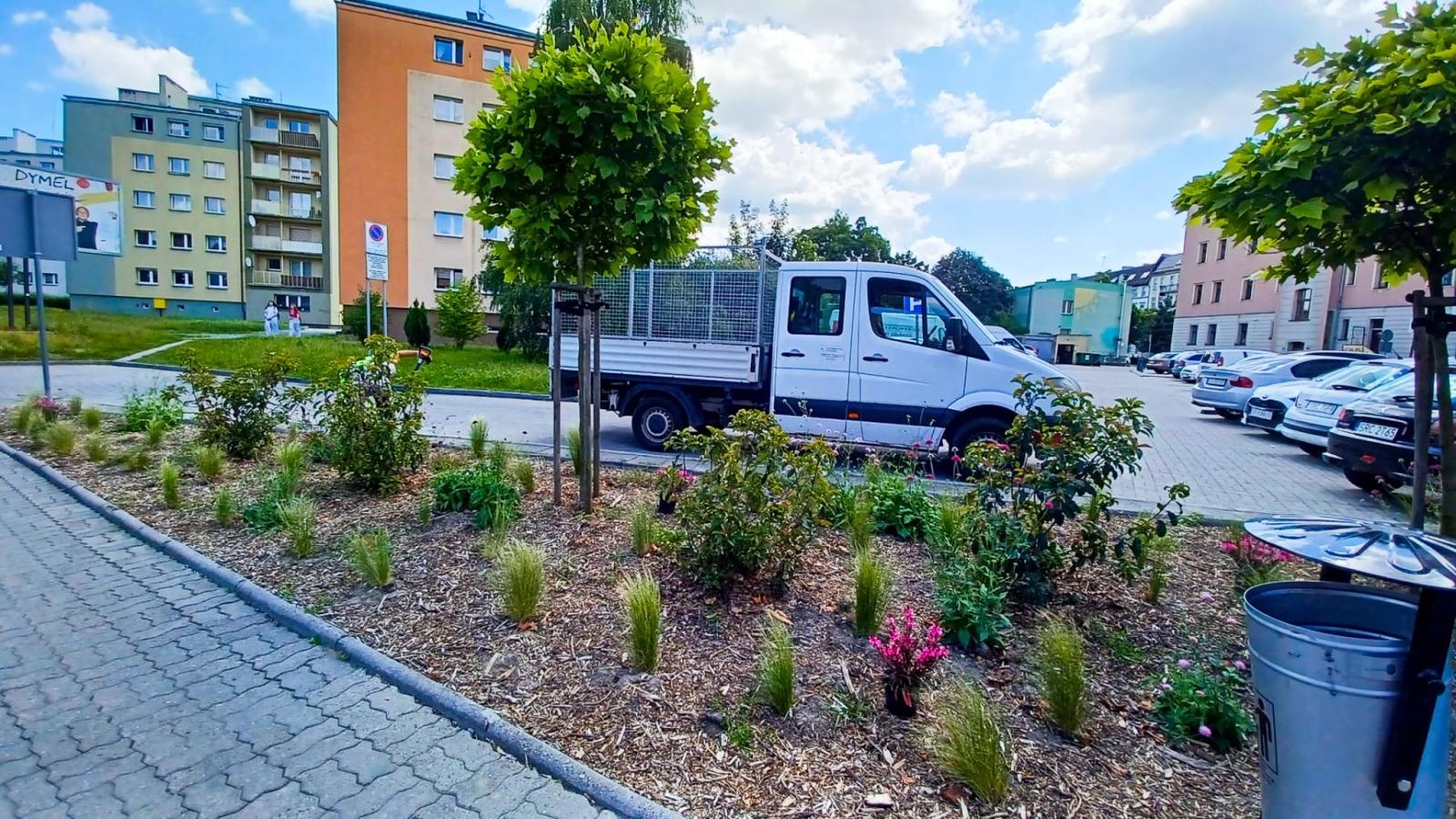 Zdjęcie w galerii na portalu naszraciborz.pl: Zielona rewolucja w Raciborzu. Miasto stawia na byliny, trawy i nowe rabaty wiadomości z regionu