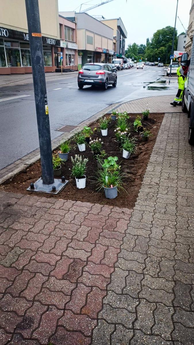 Zdjęcie w galerii na portalu naszraciborz.pl: InPost for Cities - Postawmy na Klimat. Młodzi Raciborzanie współtworzą zmiany w swoim mieście wiadomości z regionu