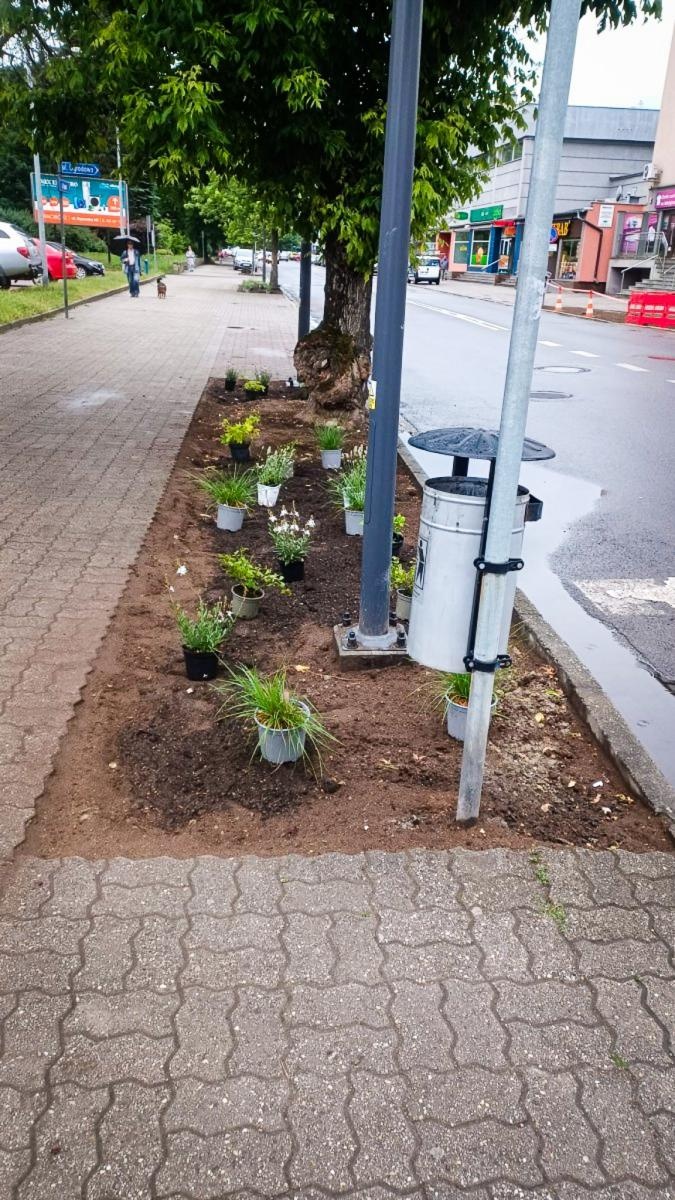 Zdjęcie w galerii na portalu naszraciborz.pl: InPost for Cities - Postawmy na Klimat. Młodzi Raciborzanie współtworzą zmiany w swoim mieście wiadomości z regionu