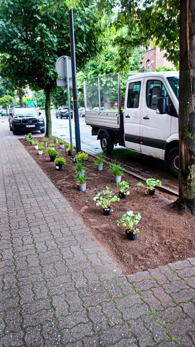 Zdjęcie w galerii na portalu naszraciborz.pl: InPost for Cities - Postawmy na Klimat. Młodzi Raciborzanie współtworzą zmiany w swoim mieście wiadomości z regionu