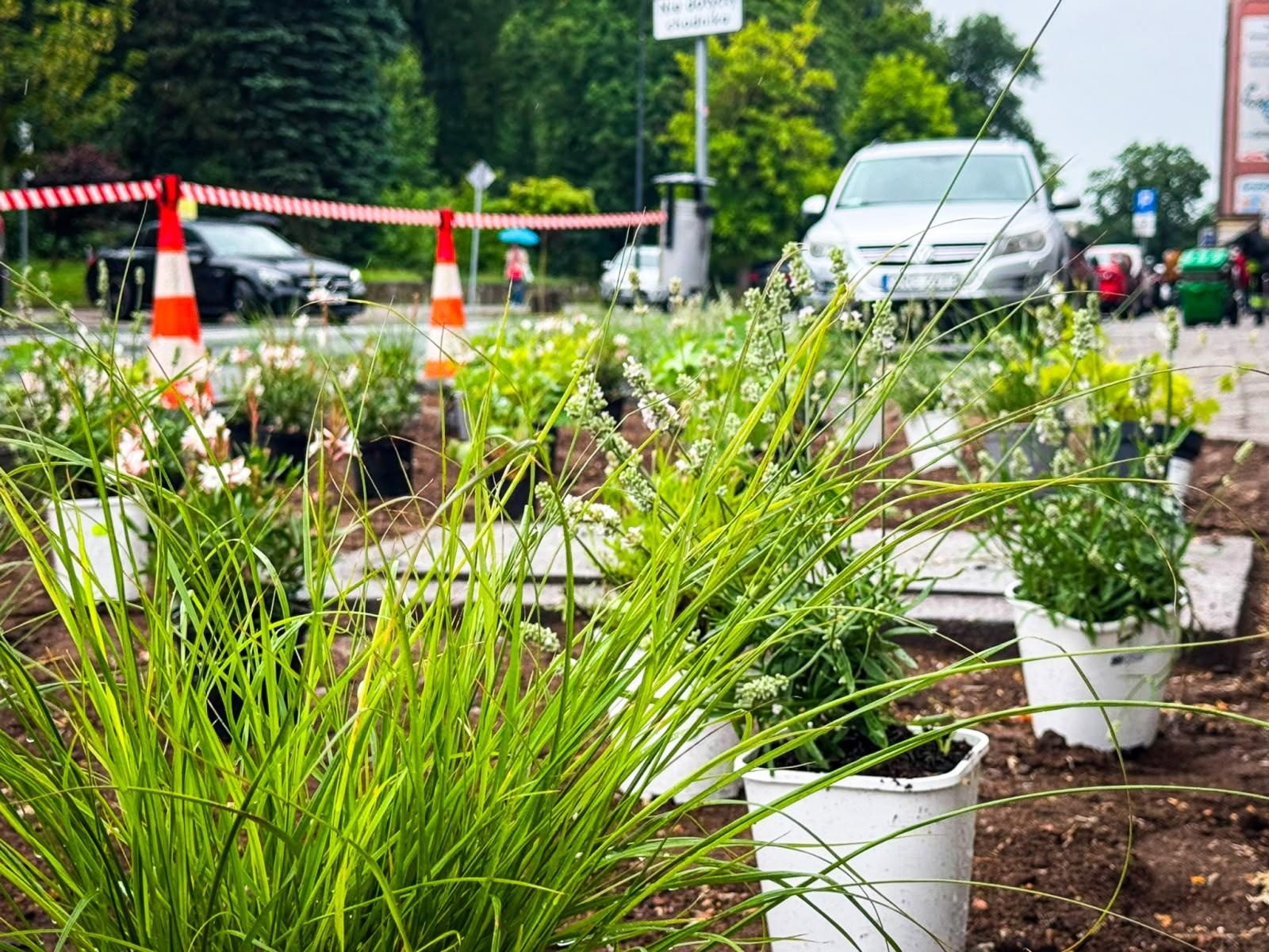 Zdjęcie w galerii na portalu naszraciborz.pl: InPost for Cities - Postawmy na Klimat. Młodzi Raciborzanie współtworzą zmiany w swoim mieście wiadomości z regionu