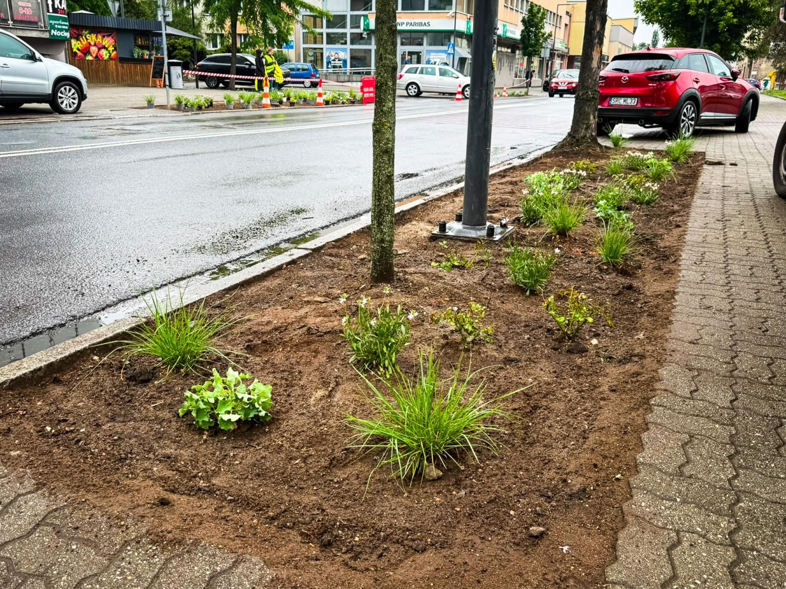 Zdjęcie w galerii na portalu naszraciborz.pl: InPost for Cities - Postawmy na Klimat. Młodzi Raciborzanie współtworzą zmiany w swoim mieście wiadomości z regionu