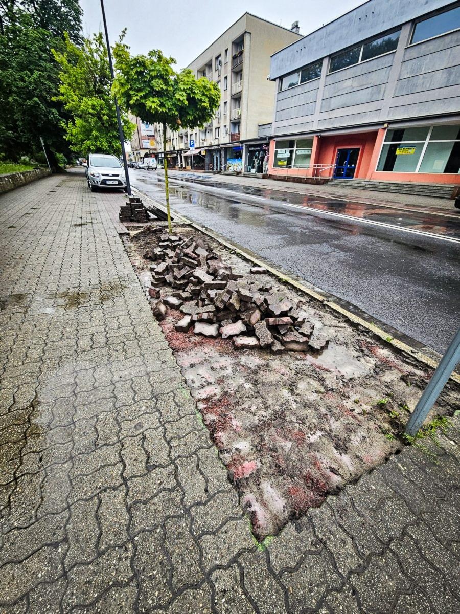 Zdjęcie w galerii na portalu naszraciborz.pl: InPost for Cities - Postawmy na Klimat. Młodzi Raciborzanie współtworzą zmiany w swoim mieście wiadomości z regionu