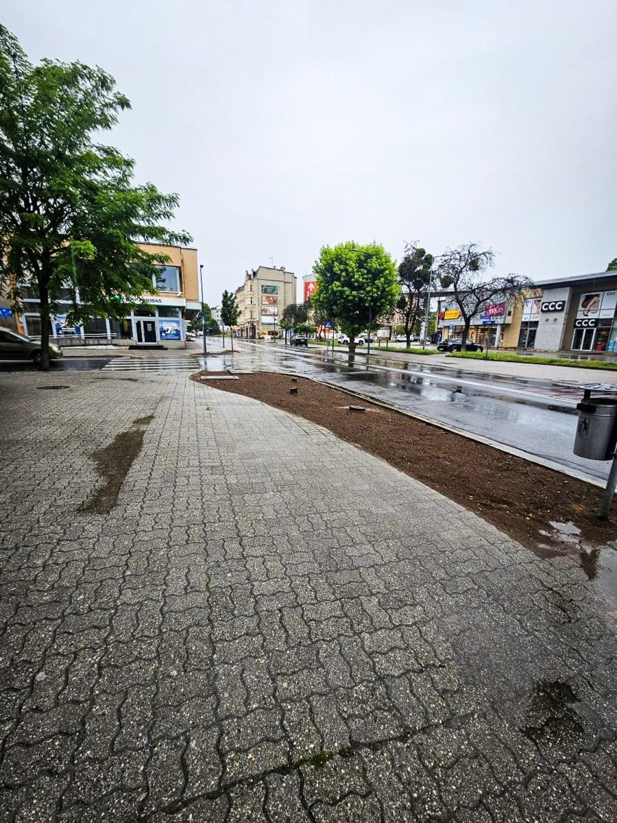Zdjęcie w galerii na portalu naszraciborz.pl: InPost for Cities - Postawmy na Klimat. Młodzi Raciborzanie współtworzą zmiany w swoim mieście wiadomości z regionu