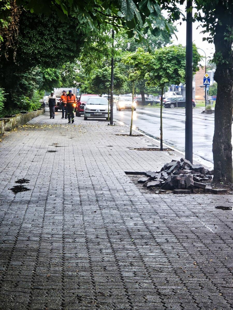 Zdjęcie w galerii na portalu naszraciborz.pl: InPost for Cities - Postawmy na Klimat. Młodzi Raciborzanie współtworzą zmiany w swoim mieście wiadomości z regionu