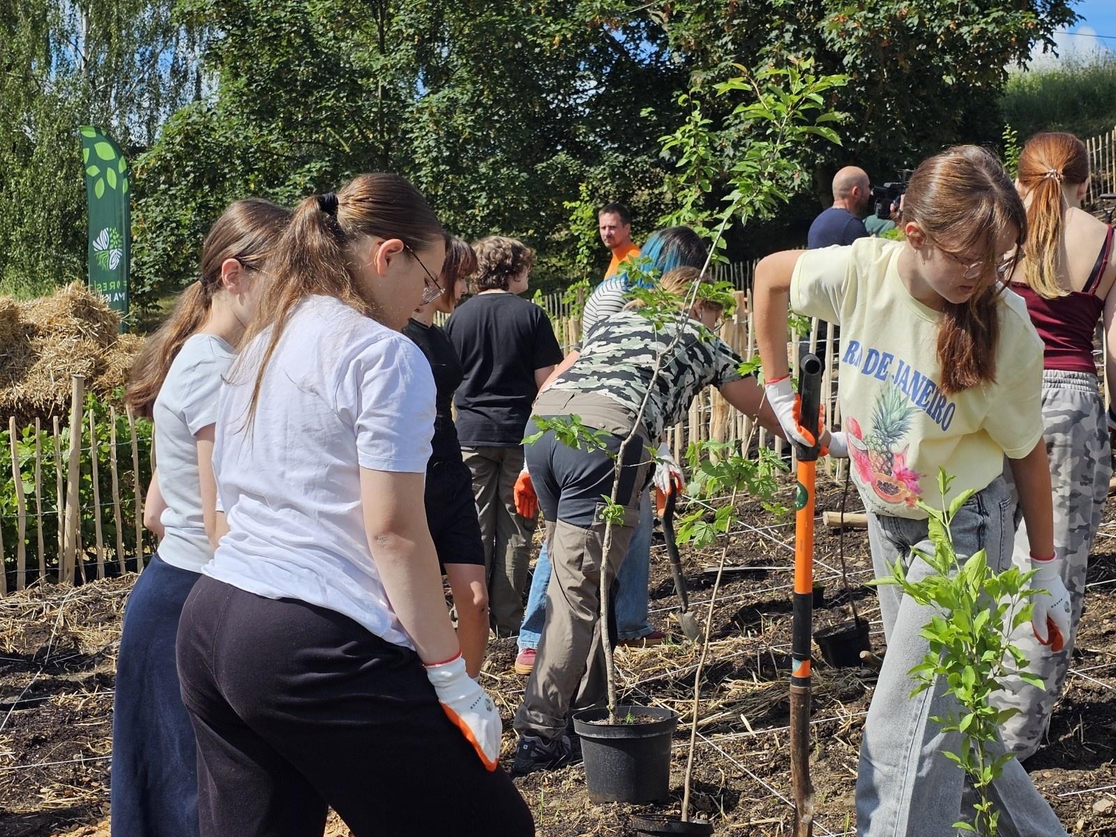 Zdjęcie w galerii na portalu naszraciborz.pl: Drugi mikrolas Miyawaki w Raciborzu. Mieszkańcy wspólnie zazielenili kolejną część miasta wiadomości z regionu