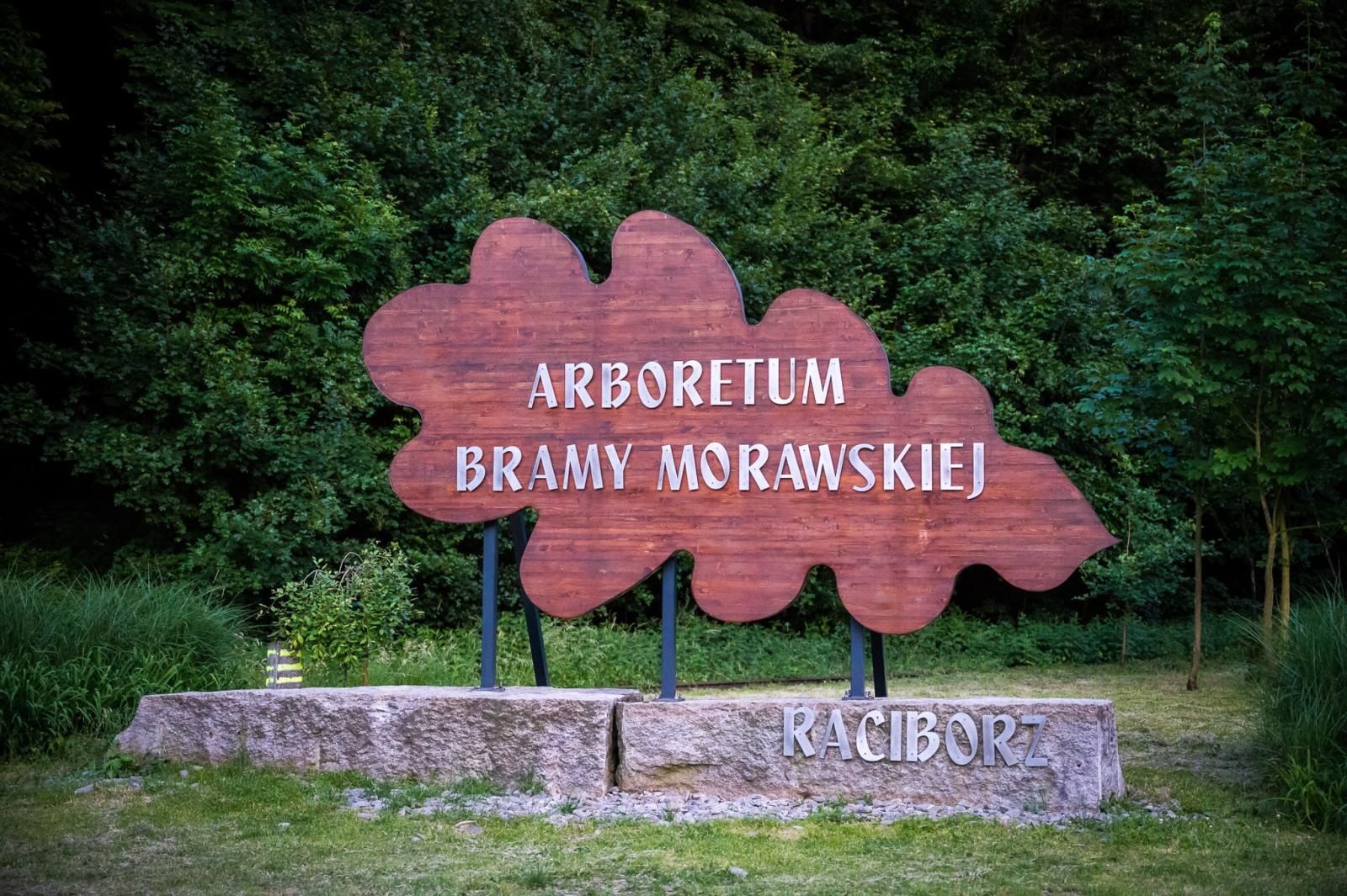 Zdjęcie w galerii na portalu naszraciborz.pl: Tajemnice Obory i słowiańskie dziedzictwo. Nocne wydarzenie na Zamku Piastowskim i w Raciborskim Grodzie wiadomości z regionu