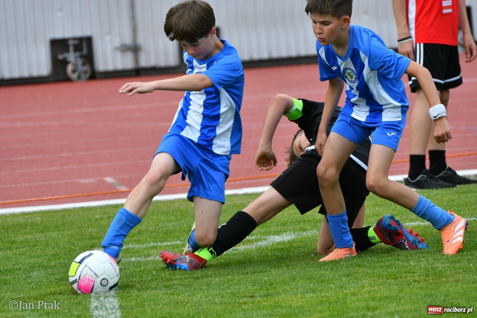 Zdjęcie w galerii na portalu naszraciborz.pl: Racibórz Trophy 2026 – Akademia GKS Jastrzębie zwycięzcą turnieju U11 wiadomości z regionu