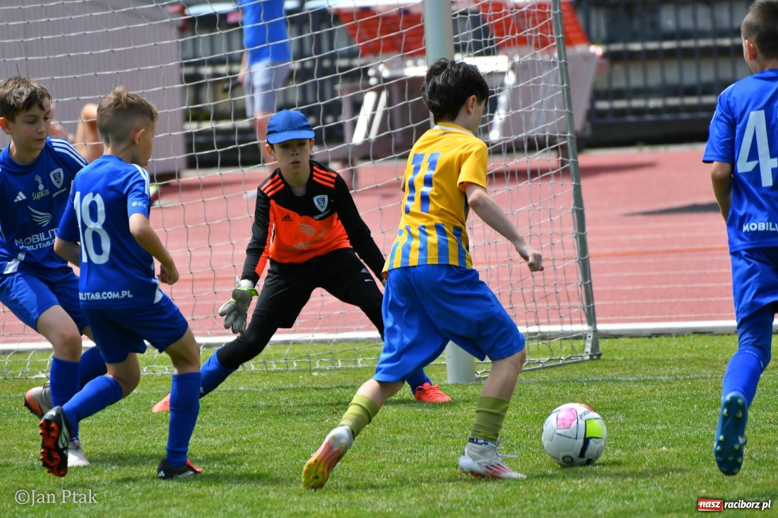 Zdjęcie w galerii na portalu naszraciborz.pl: Racibórz Trophy 2026 – Akademia GKS Jastrzębie zwycięzcą turnieju U11 wiadomości z regionu