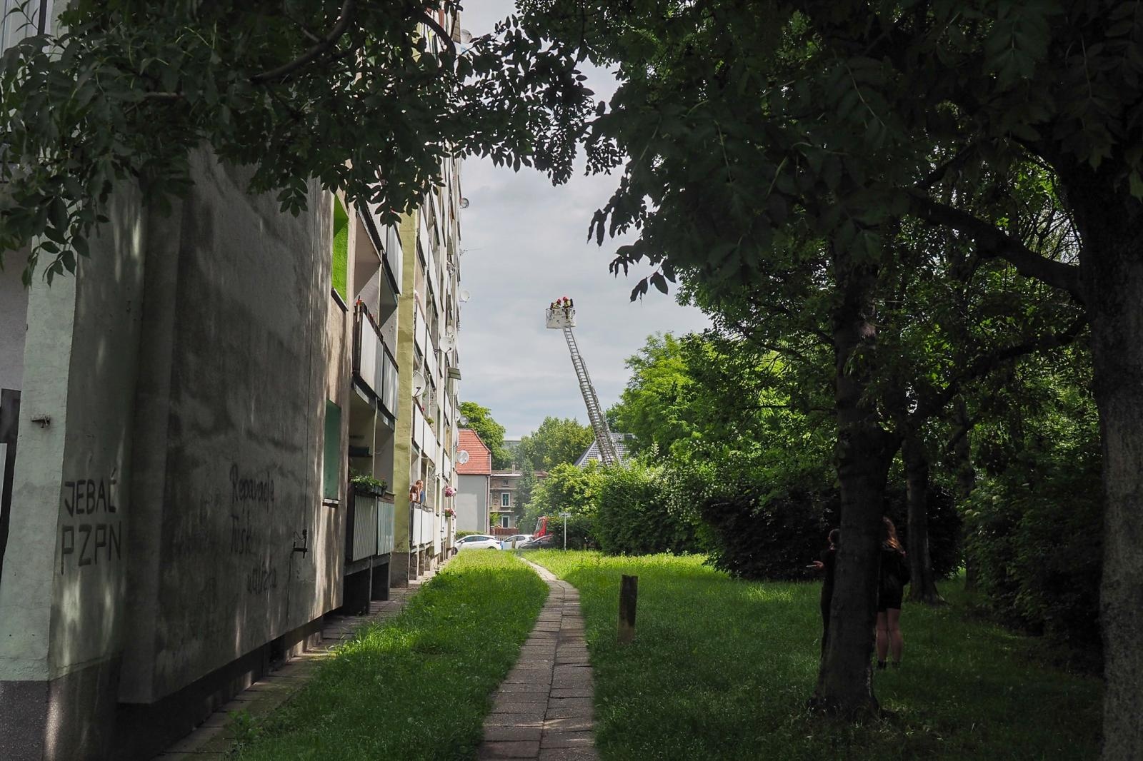 Zdjęcie w galerii na portalu naszraciborz.pl: Pożar mieszkania przy ul. Katowickiej w Raciborzu [FOTO i WIDEO] wiadomości z regionu