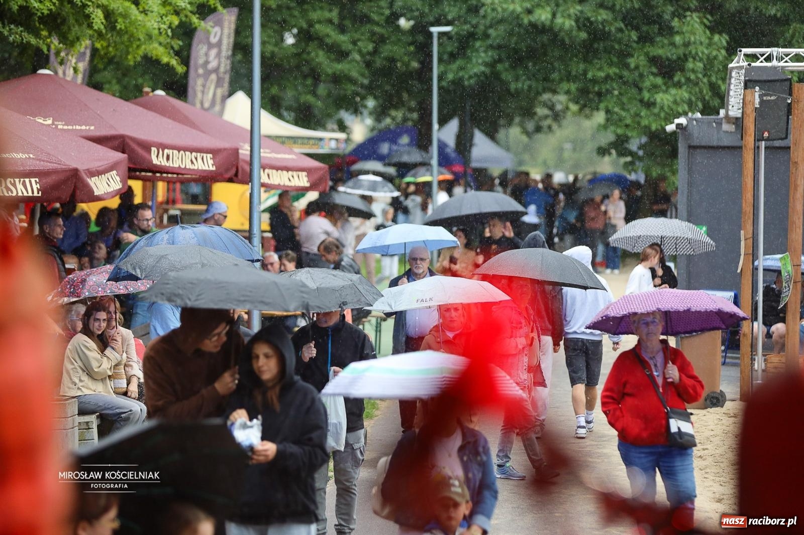 Zdjęcie w galerii na portalu naszraciborz.pl: JuicyPop rozgrzali publiczność mimo kapryśnej pogody wiadomości z regionu