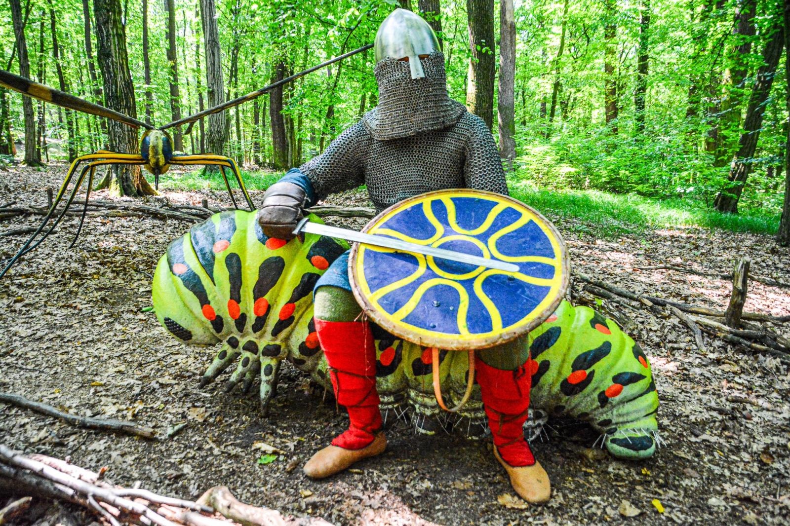 Zdjęcie w galerii na portalu naszraciborz.pl: Średniowiecze ożyło w Raciborzu! Wielka bitwa wojów i klimat dawnych wieków w Arboretum [FOTO i WIDEO] wiadomości z regionu
