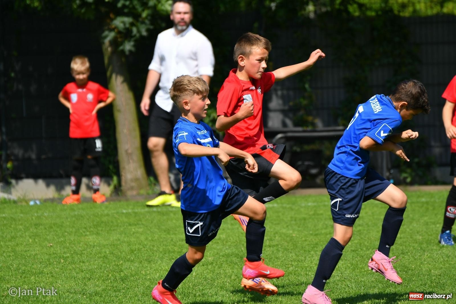 Zdjęcie w galerii na portalu naszraciborz.pl: Młody Widzew bezkonkurencyjny w Raciborzu. Zwyciężył w międzynarodowym V4Cup [FOTO] wiadomości z regionu