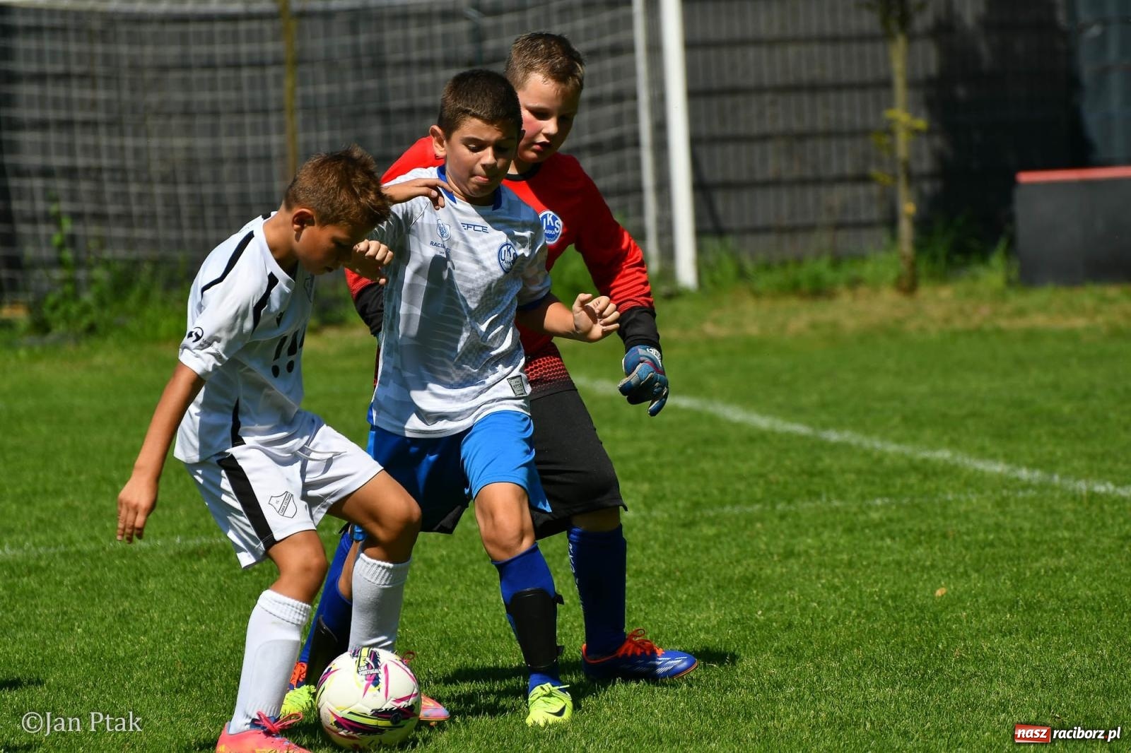 Zdjęcie w galerii na portalu naszraciborz.pl: Młody Widzew bezkonkurencyjny w Raciborzu. Zwyciężył w międzynarodowym V4Cup [FOTO] wiadomości z regionu