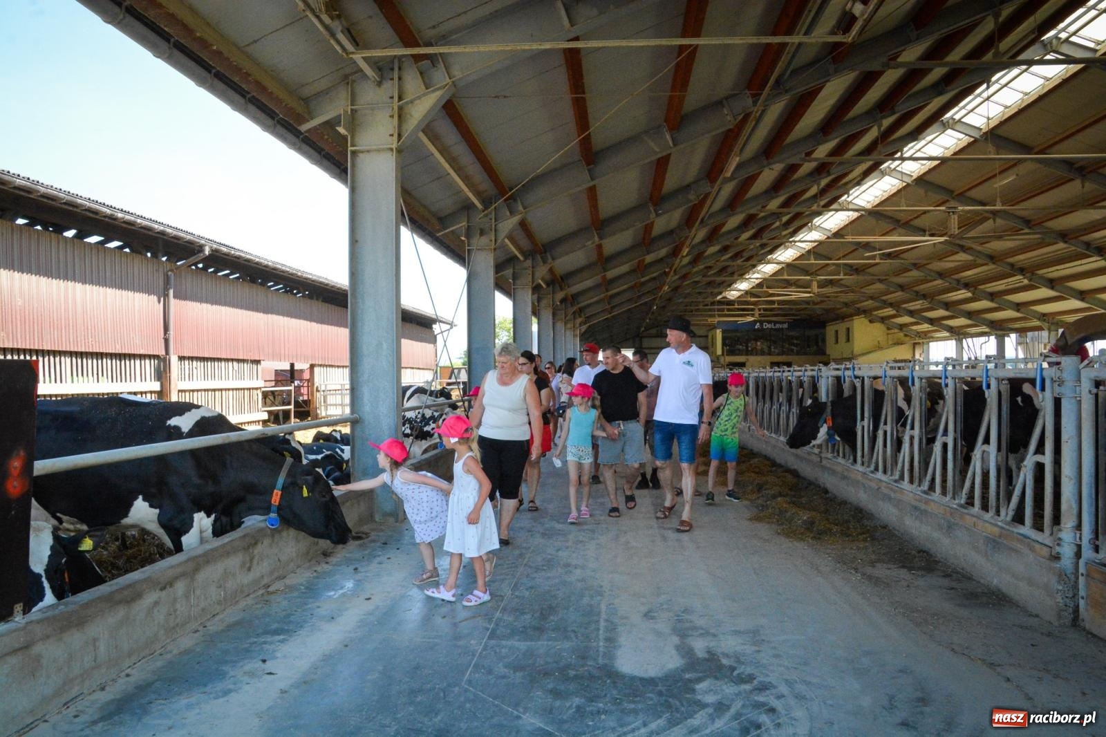 Zdjęcie w galerii na portalu naszraciborz.pl: Piknik na Wietrzaku w Krzanowicach przyciągnął tłumy mieszkańców  wiadomości z regionu
