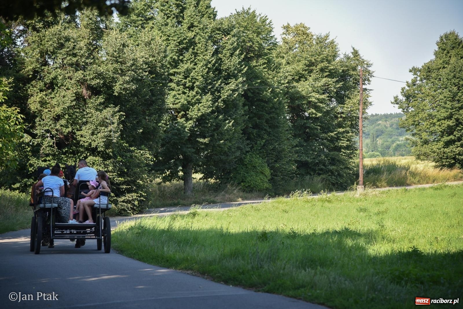Zdjęcie w galerii na portalu naszraciborz.pl: Płonia świętuje początek lata: Dzielnica pełna energii i sąsiedzkiej integracji [FOTO i WIDEO] wiadomości z regionu