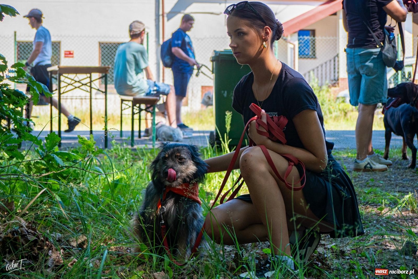 Zdjęcie w galerii na portalu naszraciborz.pl: Dogtrekking w Nędzy przyciągnął tłumy. Sport i pomoc zwierzętom podczas VI Festiwalu Górnej Odry [FOTO] wiadomości z regionu