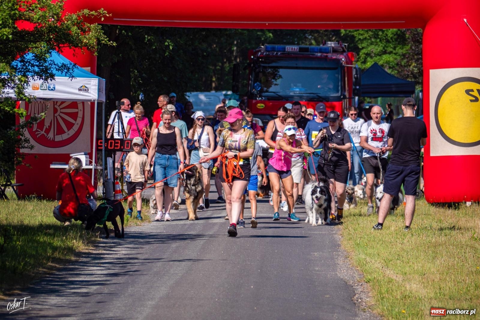 Zdjęcie w galerii na portalu naszraciborz.pl: Dogtrekking w Nędzy przyciągnął tłumy. Sport i pomoc zwierzętom podczas VI Festiwalu Górnej Odry [FOTO] wiadomości z regionu