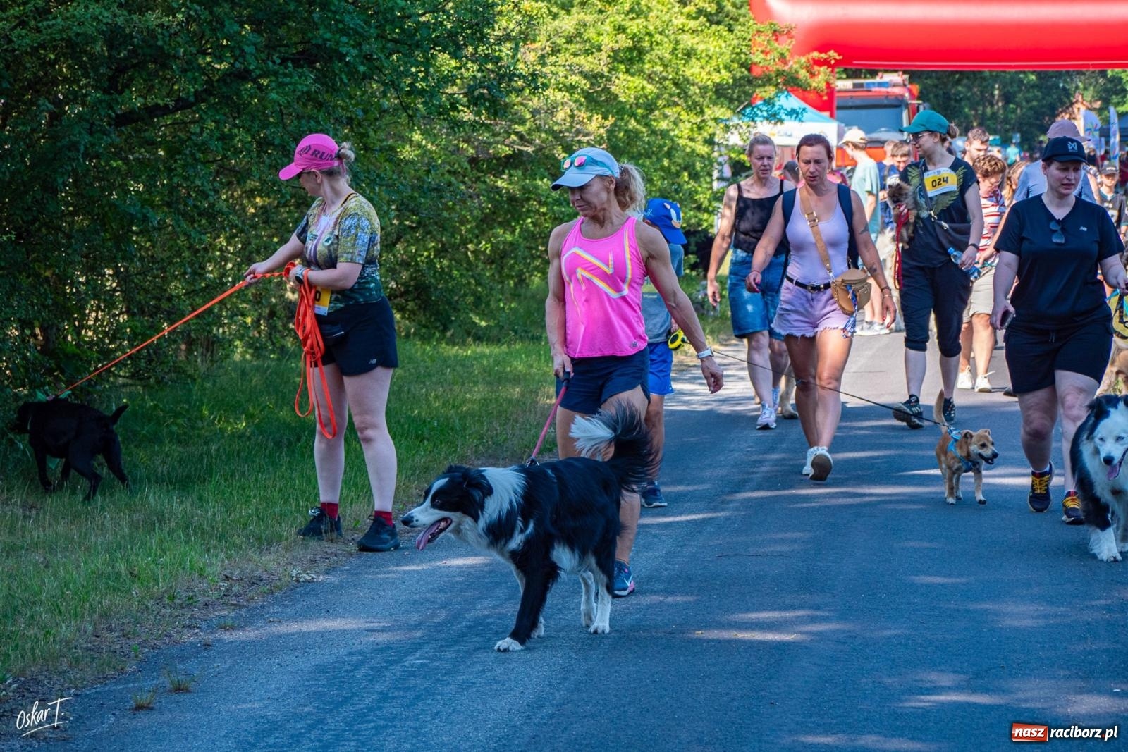 Zdjęcie w galerii na portalu naszraciborz.pl: Dogtrekking w Nędzy przyciągnął tłumy. Sport i pomoc zwierzętom podczas VI Festiwalu Górnej Odry [FOTO] wiadomości z regionu