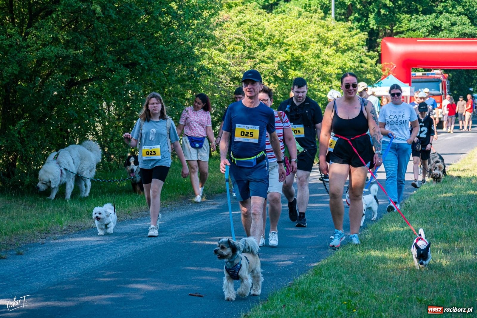 Zdjęcie w galerii na portalu naszraciborz.pl: Dogtrekking w Nędzy przyciągnął tłumy. Sport i pomoc zwierzętom podczas VI Festiwalu Górnej Odry [FOTO] wiadomości z regionu