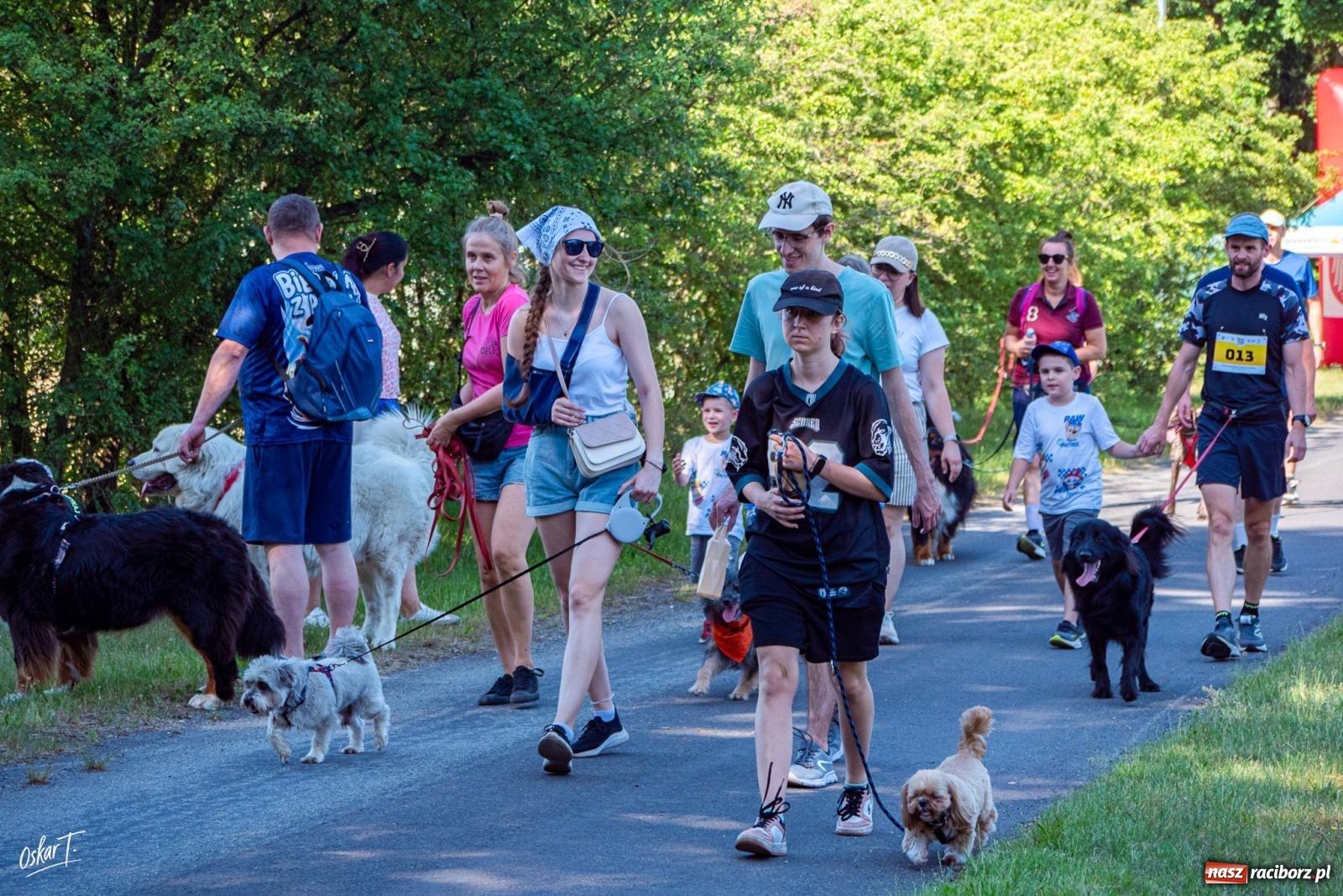 Zdjęcie w galerii na portalu naszraciborz.pl: Dogtrekking w Nędzy przyciągnął tłumy. Sport i pomoc zwierzętom podczas VI Festiwalu Górnej Odry [FOTO] wiadomości z regionu