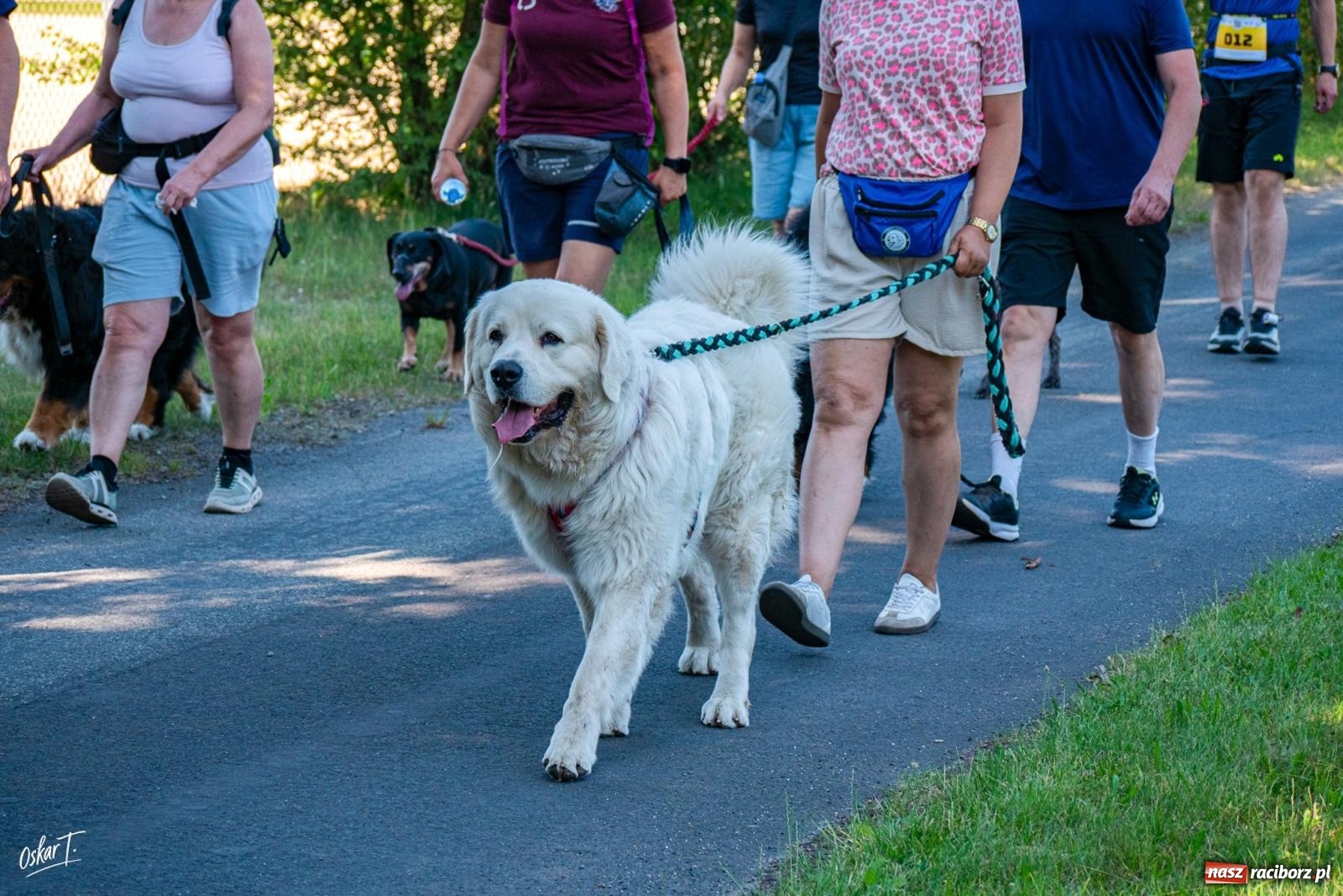 Zdjęcie w galerii na portalu naszraciborz.pl: Dogtrekking w Nędzy przyciągnął tłumy. Sport i pomoc zwierzętom podczas VI Festiwalu Górnej Odry [FOTO] wiadomości z regionu