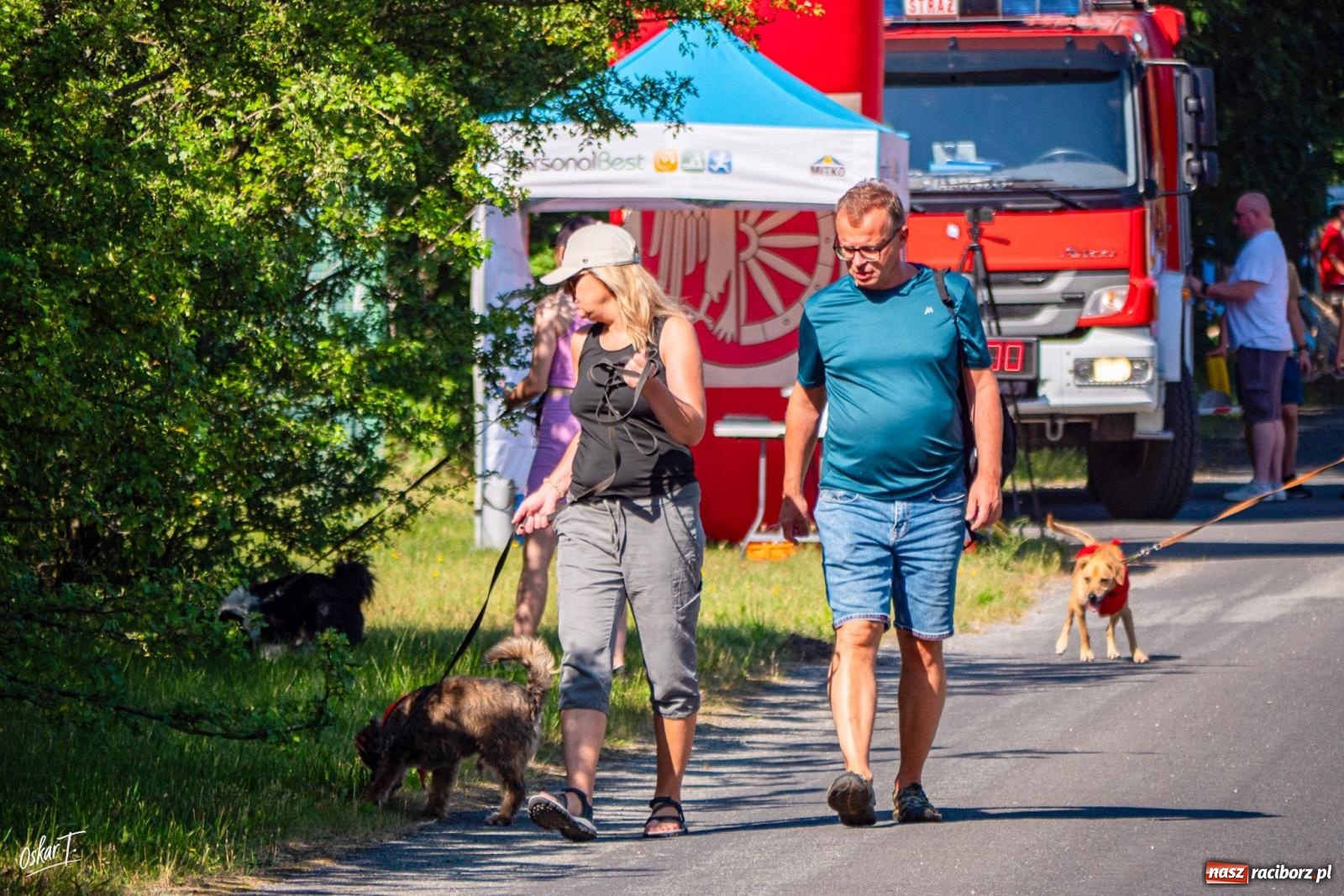 Zdjęcie w galerii na portalu naszraciborz.pl: Dogtrekking w Nędzy przyciągnął tłumy. Sport i pomoc zwierzętom podczas VI Festiwalu Górnej Odry [FOTO] wiadomości z regionu