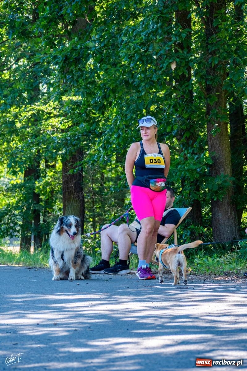 Zdjęcie w galerii na portalu naszraciborz.pl: Dogtrekking w Nędzy przyciągnął tłumy. Sport i pomoc zwierzętom podczas VI Festiwalu Górnej Odry [FOTO] wiadomości z regionu