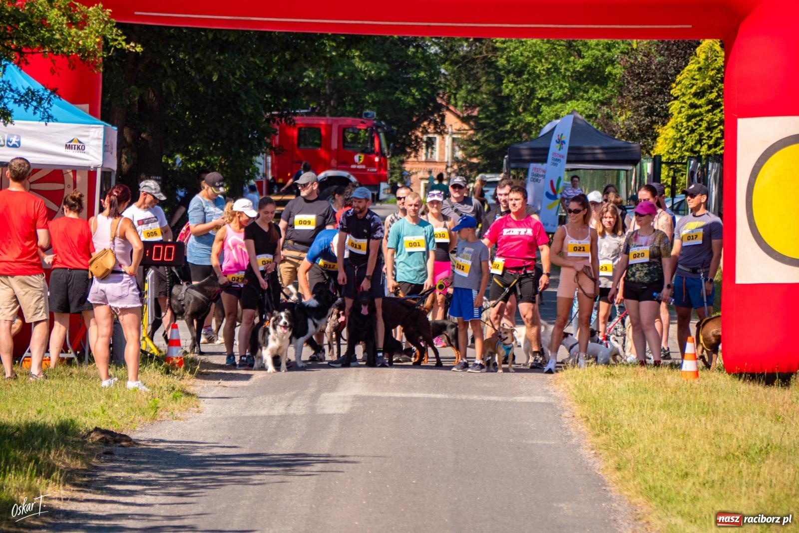 Zdjęcie w galerii na portalu naszraciborz.pl: Dogtrekking w Nędzy przyciągnął tłumy. Sport i pomoc zwierzętom podczas VI Festiwalu Górnej Odry [FOTO] wiadomości z regionu