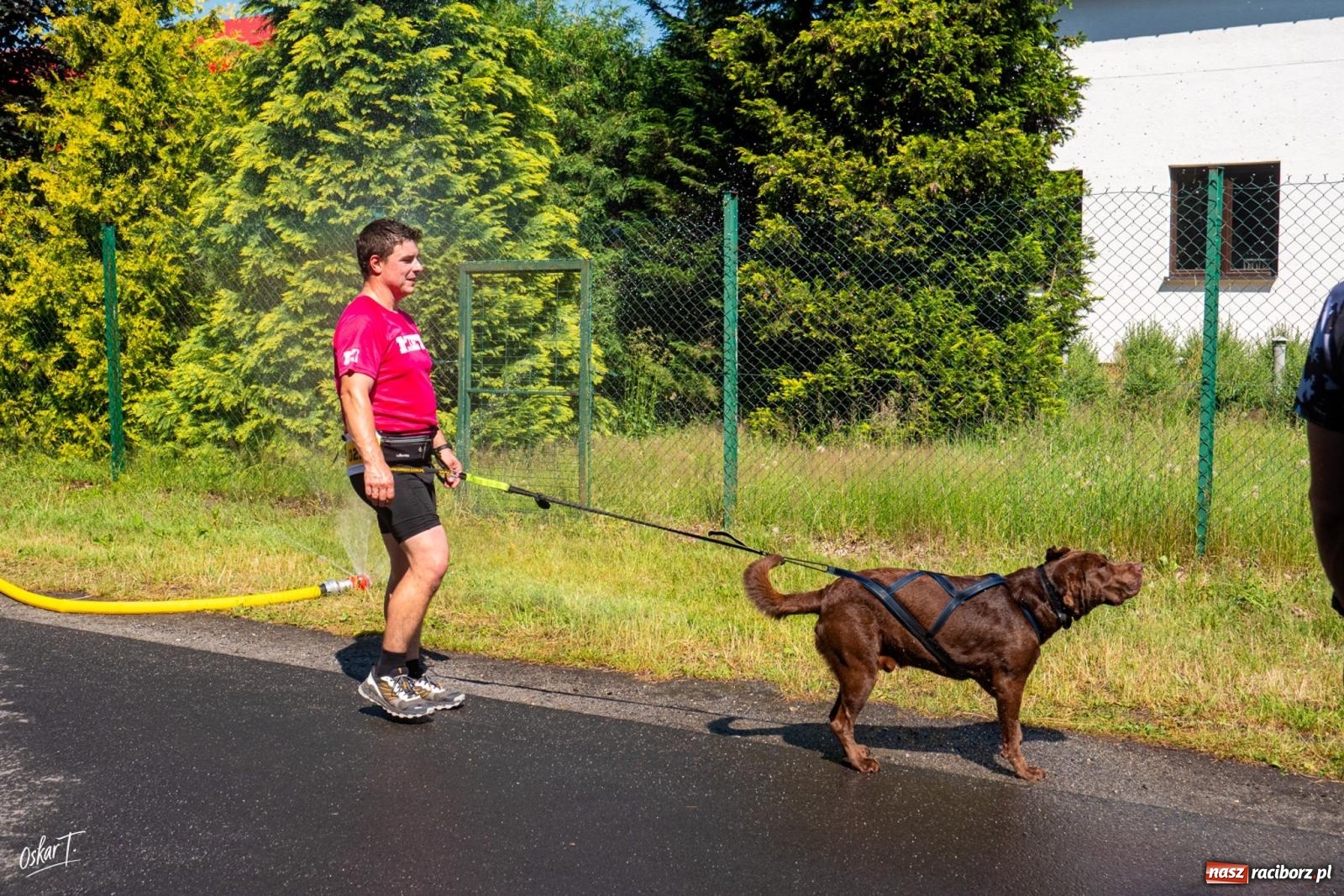 Zdjęcie w galerii na portalu naszraciborz.pl: Dogtrekking w Nędzy przyciągnął tłumy. Sport i pomoc zwierzętom podczas VI Festiwalu Górnej Odry [FOTO] wiadomości z regionu