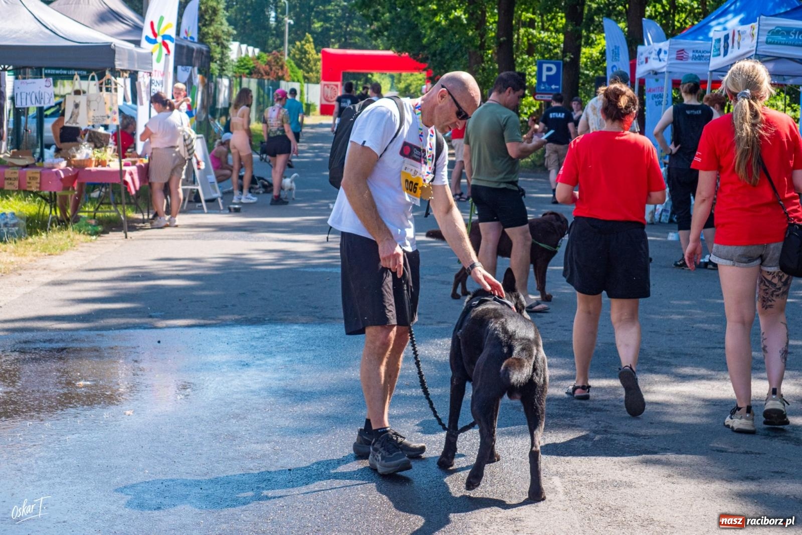 Zdjęcie w galerii na portalu naszraciborz.pl: Dogtrekking w Nędzy przyciągnął tłumy. Sport i pomoc zwierzętom podczas VI Festiwalu Górnej Odry [FOTO] wiadomości z regionu