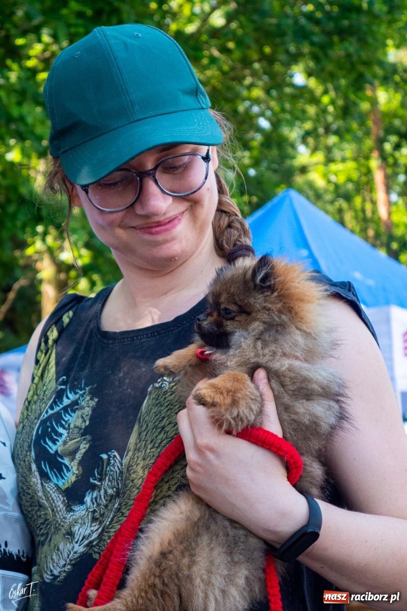 Zdjęcie w galerii na portalu naszraciborz.pl: Dogtrekking w Nędzy przyciągnął tłumy. Sport i pomoc zwierzętom podczas VI Festiwalu Górnej Odry [FOTO] wiadomości z regionu