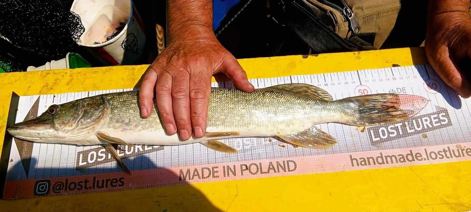 Zdjęcie w galerii na portalu naszraciborz.pl: 24 godziny nad wodą. Zawody spinningowe w Babicach wiadomości z regionu