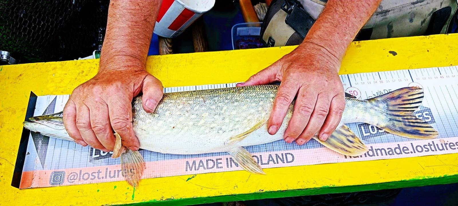 Zdjęcie w galerii na portalu naszraciborz.pl: 24 godziny nad wodą. Zawody spinningowe w Babicach wiadomości z regionu