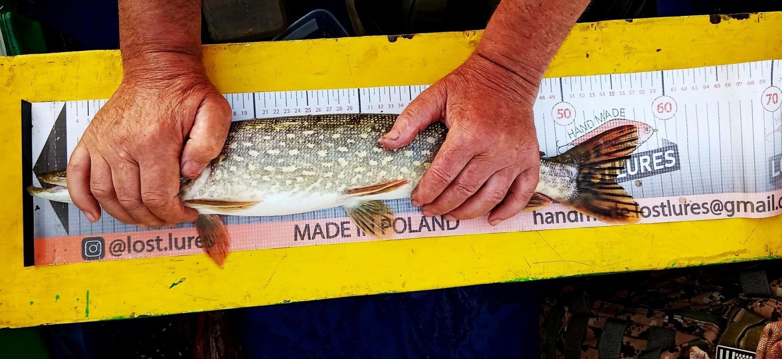 Zdjęcie w galerii na portalu naszraciborz.pl: 24 godziny nad wodą. Zawody spinningowe w Babicach wiadomości z regionu