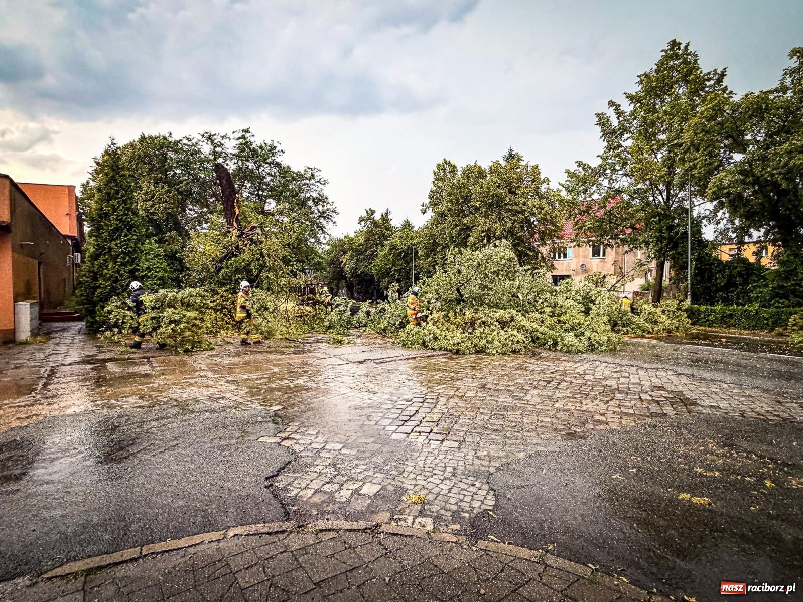 Zdjęcie w galerii na portalu naszraciborz.pl: Nawałnica nad powiatem raciborskim. Strażacy interweniowali już 20 razy wiadomości z regionu