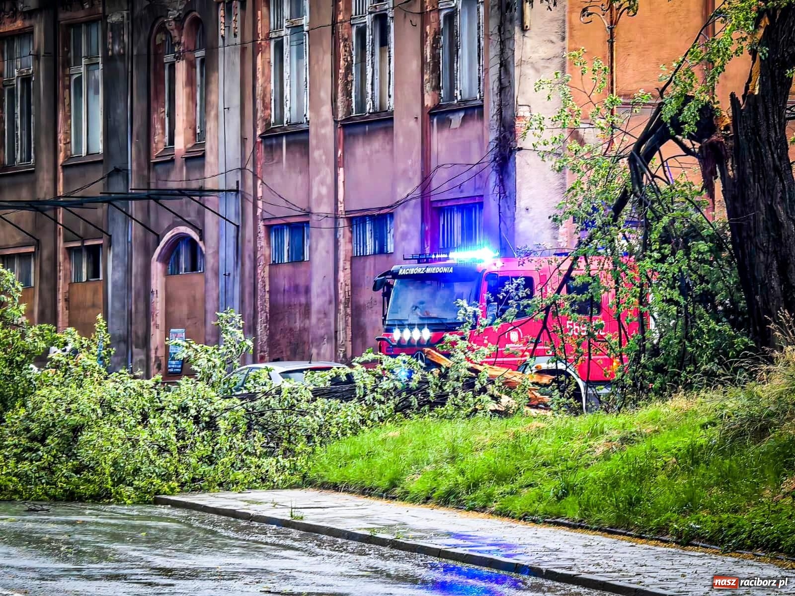 Zdjęcie w galerii na portalu naszraciborz.pl: Nawałnica nad powiatem raciborskim. Strażacy interweniowali już 20 razy wiadomości z regionu