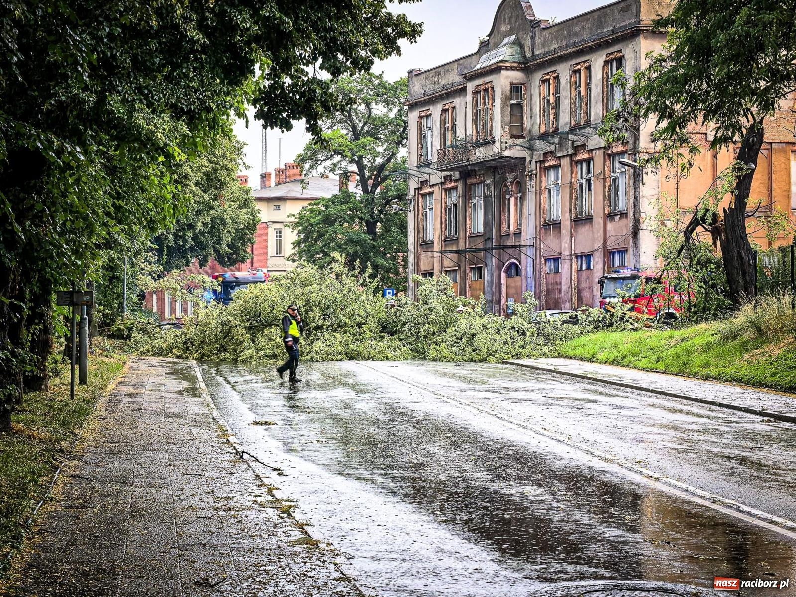 Zdjęcie w galerii na portalu naszraciborz.pl: Nawałnica nad powiatem raciborskim. Strażacy interweniowali już 20 razy wiadomości z regionu