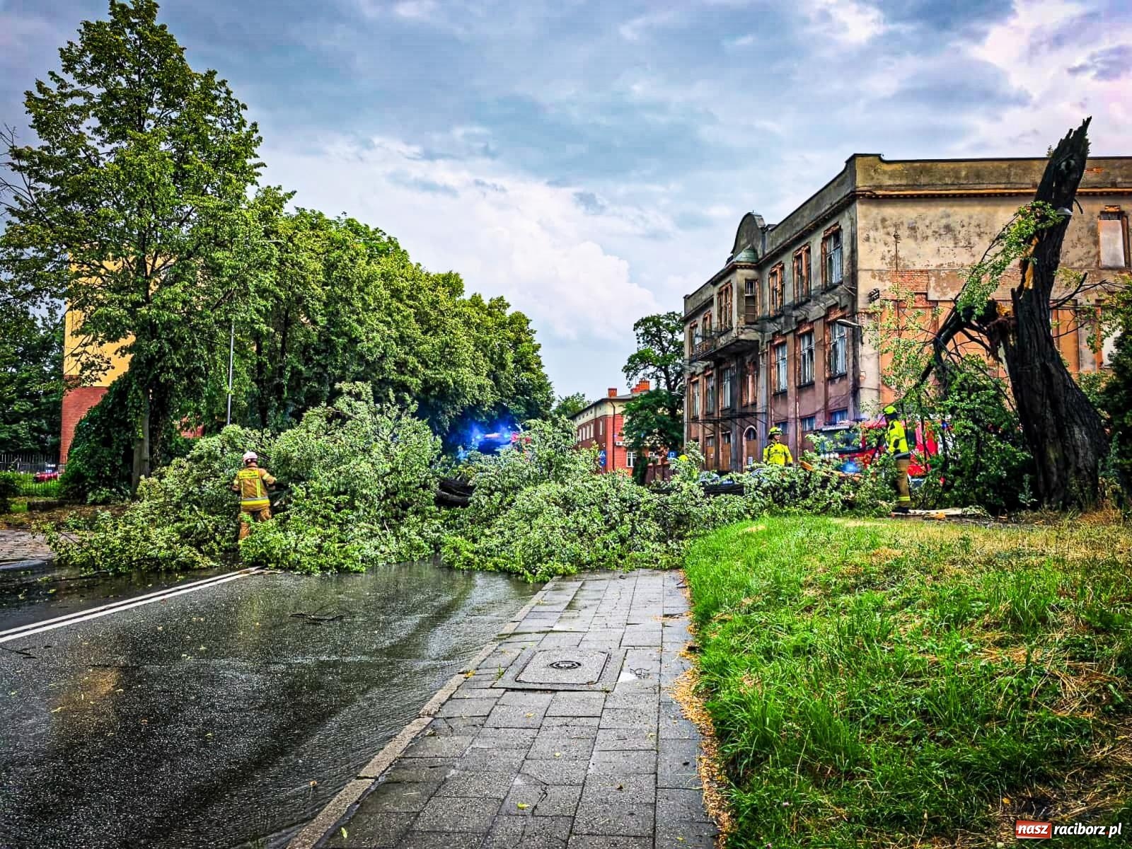 Zdjęcie w galerii na portalu naszraciborz.pl: Nawałnica nad powiatem raciborskim. Strażacy interweniowali już 20 razy wiadomości z regionu