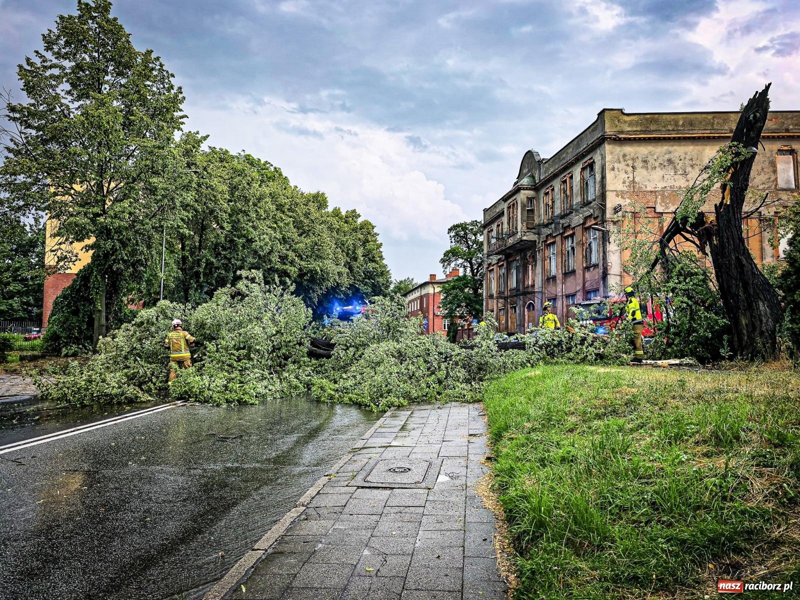 Zdjęcie w galerii na portalu naszraciborz.pl: Nawałnica nad powiatem raciborskim. Strażacy interweniowali już 20 razy wiadomości z regionu