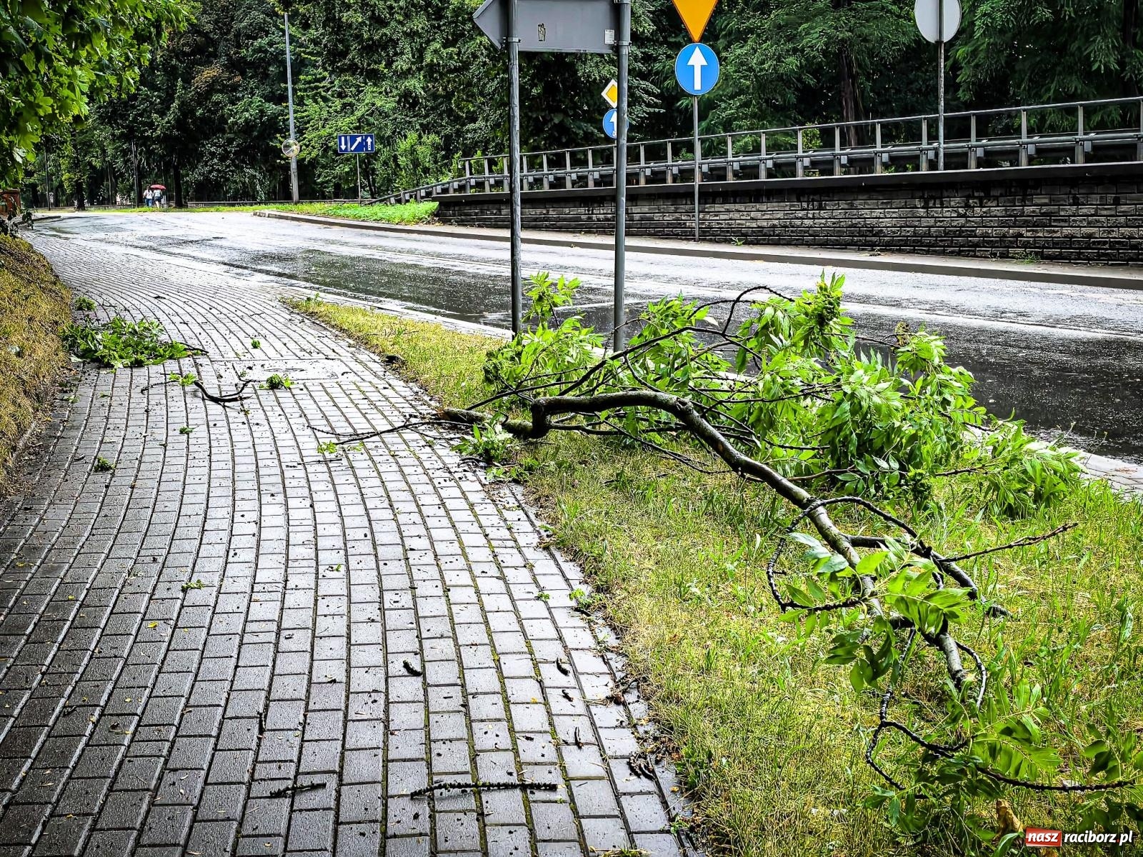 Zdjęcie w galerii na portalu naszraciborz.pl: Nawałnica nad powiatem raciborskim. Strażacy interweniowali już 20 razy wiadomości z regionu
