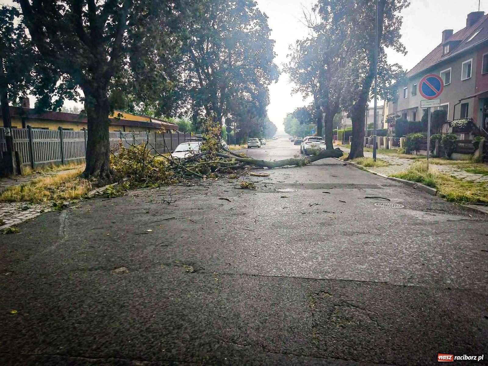 Zdjęcie w galerii na portalu naszraciborz.pl: Nawałnica nad powiatem raciborskim. Strażacy interweniowali już 20 razy wiadomości z regionu